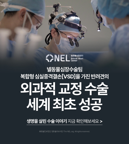 cf85904295a4311439da3aec57018700_1749445649_5418.jpg
