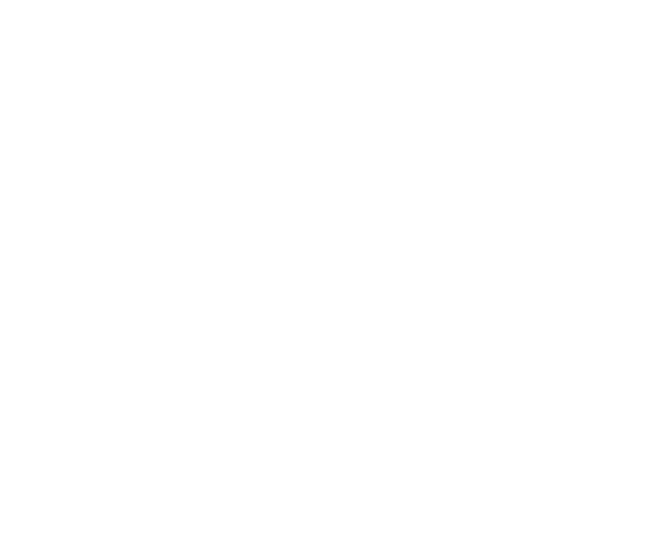 이보미