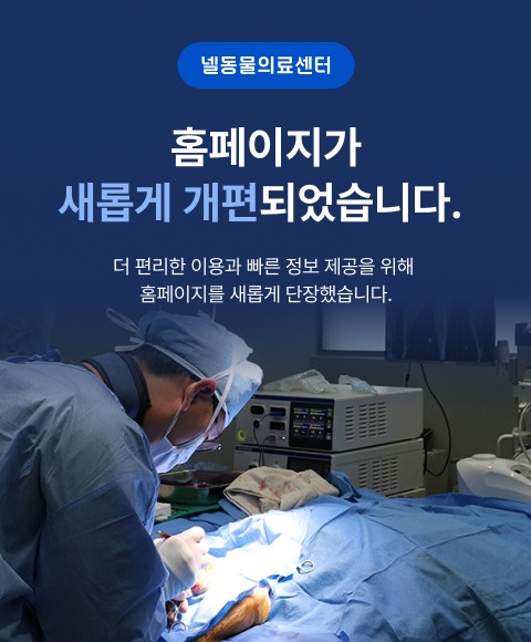 사이트 안내